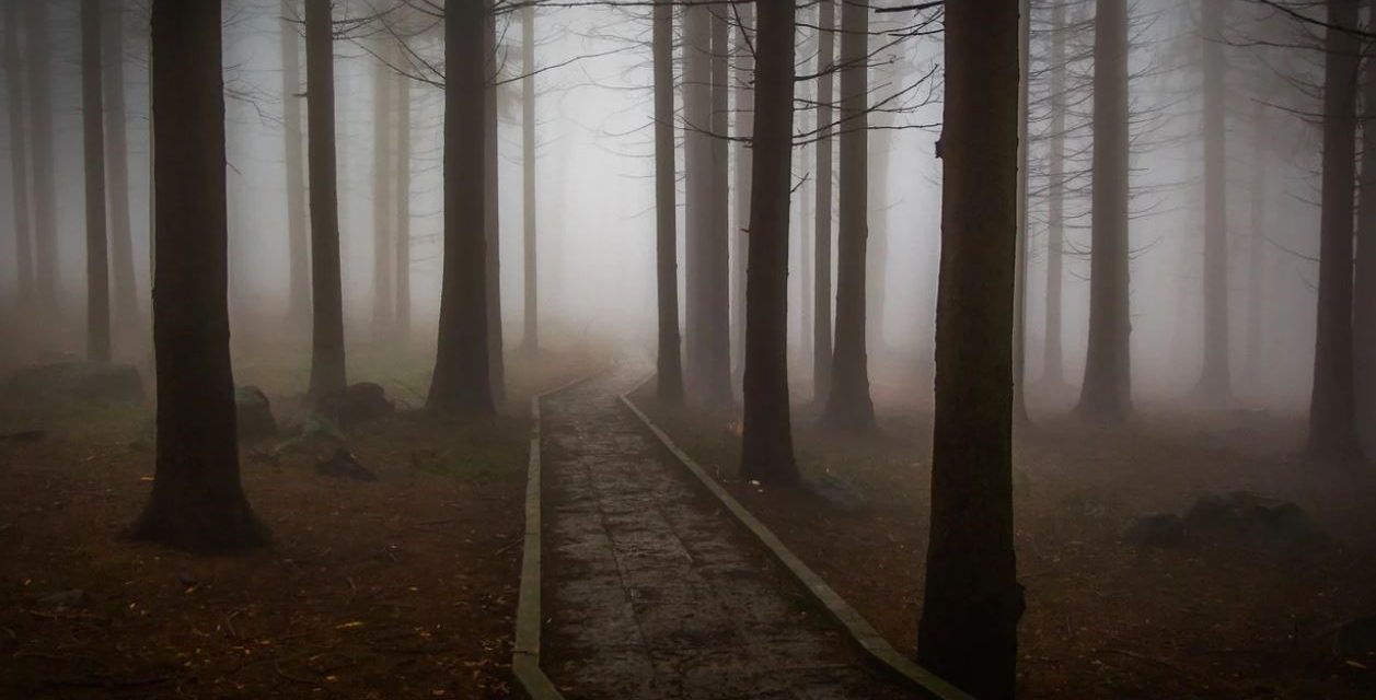 How to Deal With Fear – Solutions and Thoughts